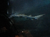 A smattering of photos from Las Vegas December 2010.