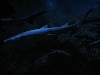 A smattering of photos from Las Vegas December 2010.