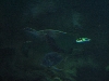 A smattering of photos from Las Vegas December 2010.