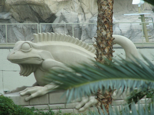 A smattering of photos from Las Vegas December 2010.
