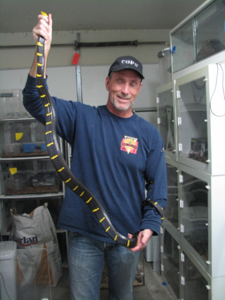 A smattering of photos from Las Vegas December 2010.