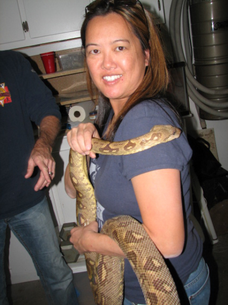 A smattering of photos from Las Vegas December 2010.