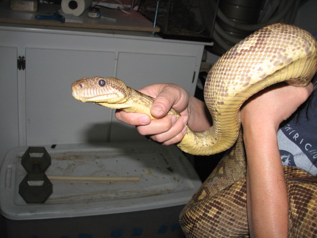 A smattering of photos from Las Vegas December 2010.
