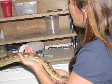 A smattering of photos from Las Vegas December 2010.