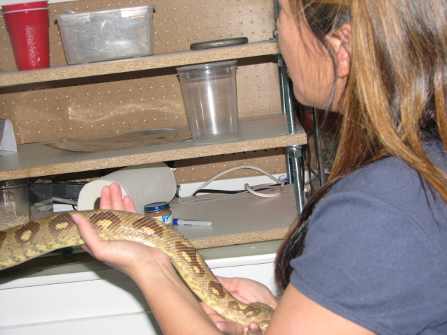 A smattering of photos from Las Vegas December 2010.