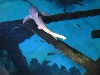 A smattering of photos from Las Vegas December 2010.
