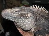 A smattering of photos from Las Vegas December 2010.