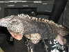 A smattering of photos from Las Vegas December 2010.