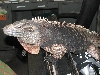 A smattering of photos from Las Vegas December 2010.
