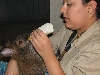 A smattering of photos from Las Vegas December 2010.