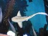 A smattering of photos from Las Vegas December 2010.