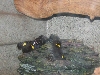 A smattering of photos from Las Vegas December 2010.