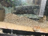 A smattering of photos from Las Vegas December 2010.