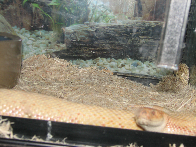 A smattering of photos from Las Vegas December 2010.