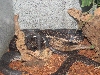 A smattering of photos from Las Vegas December 2010.