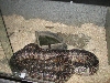 A smattering of photos from Las Vegas December 2010.