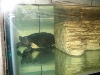 A smattering of photos from Las Vegas December 2010.