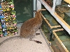 A smattering of photos from Las Vegas December 2010.