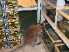 A smattering of photos from Las Vegas December 2010.