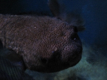 A smattering of photos from Las Vegas December 2010.
