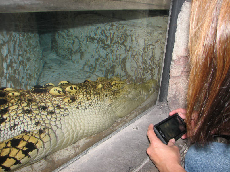A smattering of photos from Las Vegas December 2010.