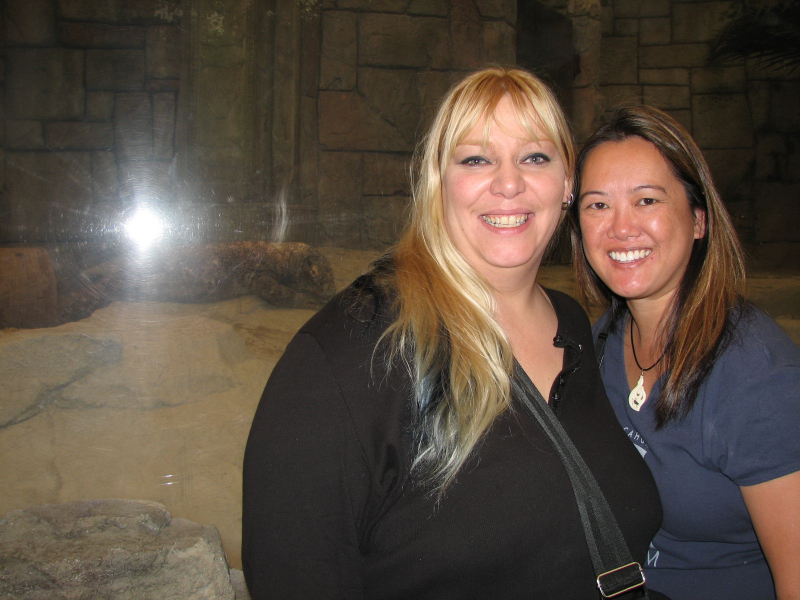 A smattering of photos from Las Vegas December 2010.