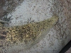 A smattering of photos from Las Vegas December 2010.