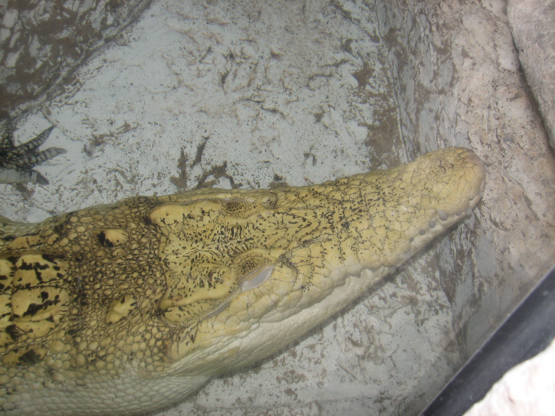 A smattering of photos from Las Vegas December 2010.