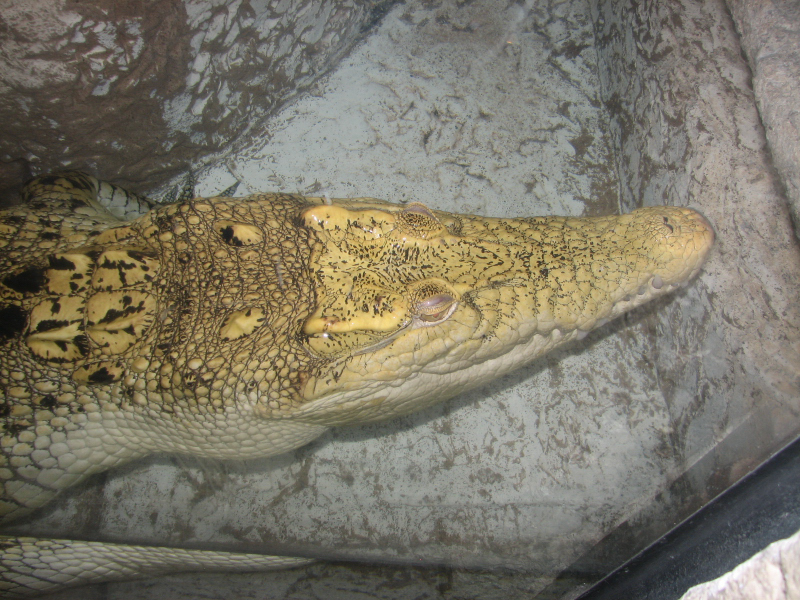 A smattering of photos from Las Vegas December 2010.