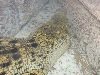 A smattering of photos from Las Vegas December 2010.