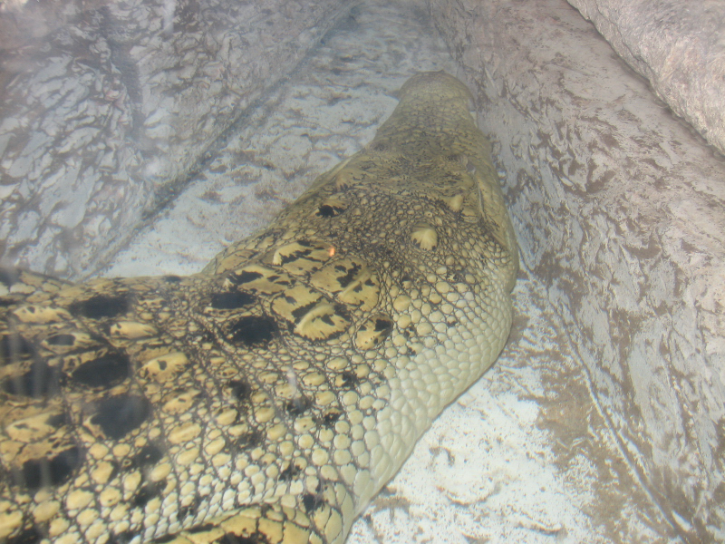 A smattering of photos from Las Vegas December 2010.