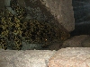 A smattering of photos from Las Vegas December 2010.