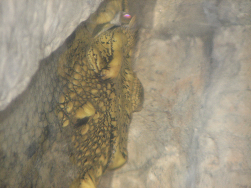 A smattering of photos from Las Vegas December 2010.