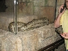 A smattering of photos from Las Vegas December 2010.
