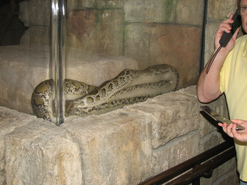 A smattering of photos from Las Vegas December 2010.
