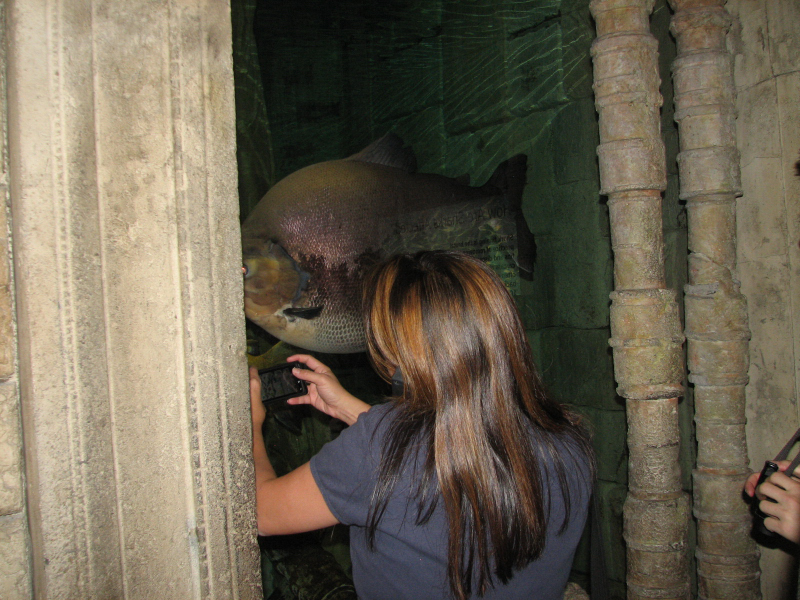 A smattering of photos from Las Vegas December 2010.