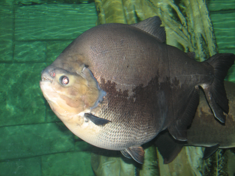 A smattering of photos from Las Vegas December 2010.