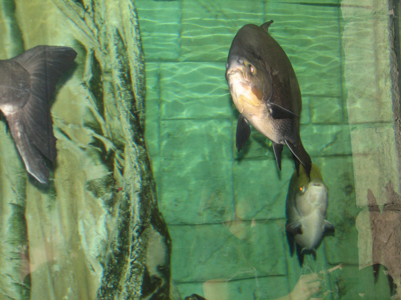 A smattering of photos from Las Vegas December 2010.