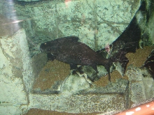 A smattering of photos from Las Vegas December 2010.