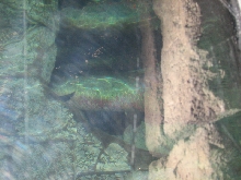 A smattering of photos from Las Vegas December 2010.