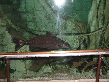 A smattering of photos from Las Vegas December 2010.