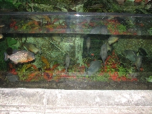 A smattering of photos from Las Vegas December 2010.