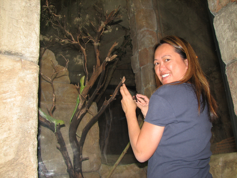 A smattering of photos from Las Vegas December 2010.