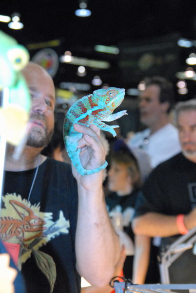 NARBC 2011 Anaheim CA