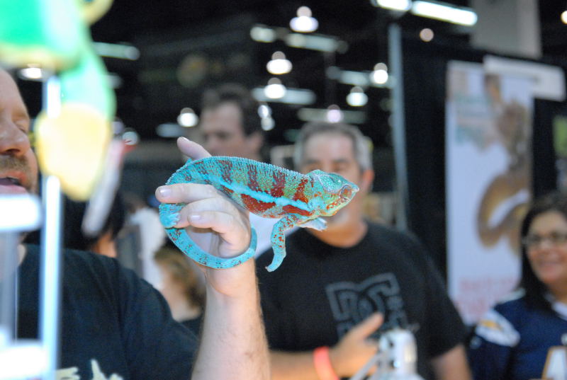 NARBC 2011 Anaheim CA