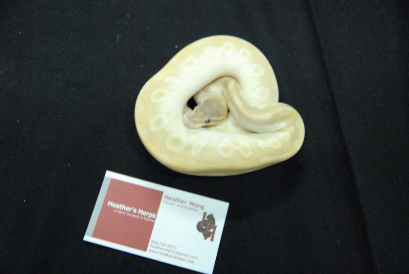 NARBC 2011 Anaheim CA