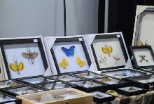 NARBC 2011 Anaheim CA