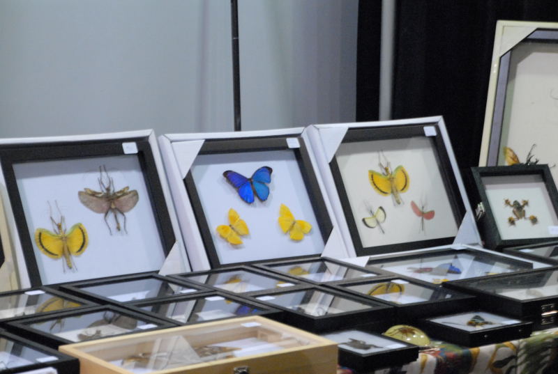 NARBC 2011 Anaheim CA