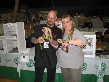 Reptilefest 2011