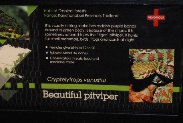 International Herp Symposium 2011
